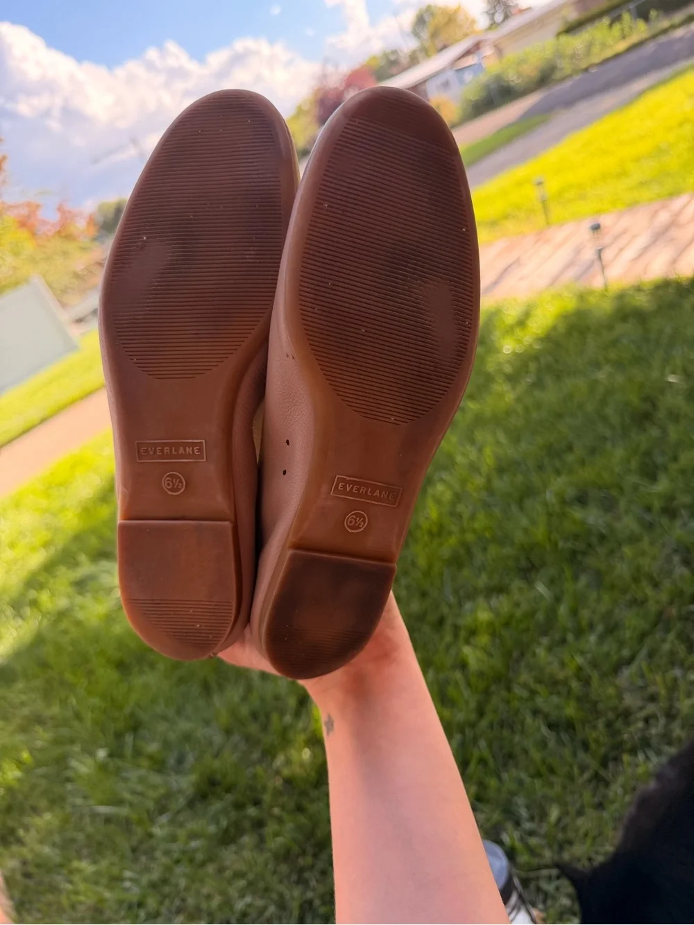 Everlane Day Glove in Tan Size 6.5 Leather Flats in Good Condition